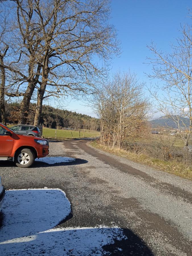 Gites De La Berthe Lantriac Kültér fotó