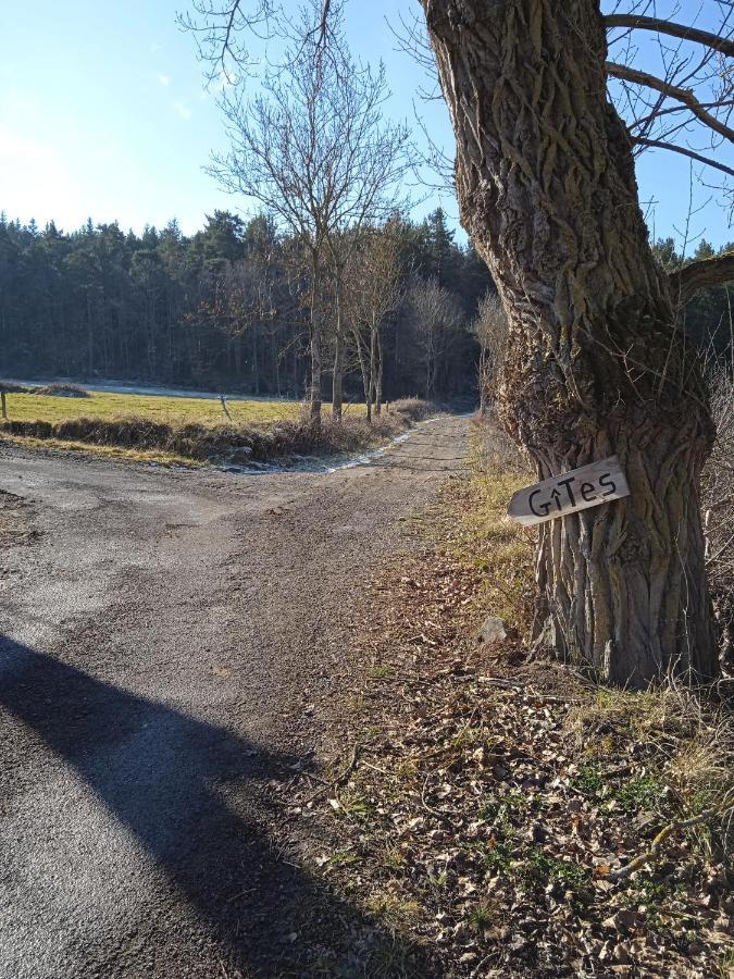 Gites De La Berthe Lantriac Kültér fotó